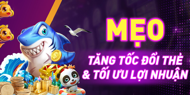 Mẹo tăng tốc đổi thẻ và tối ưu lợi nhuận hiệu quả